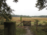 Cirkels van Jannink